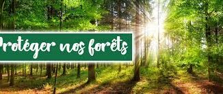 Foret