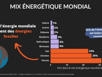 625f06284809b56c6bcc01eb mix energetique mondial trajectoires