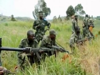 updf fardc les adf pris en etau jpg 640 350 1