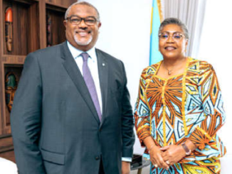 Mme Judith suminwa et M. Thierry Hot