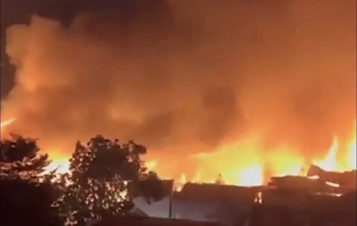 546796E8 D990 4FB5 81BD F621571D16D1 jpeg