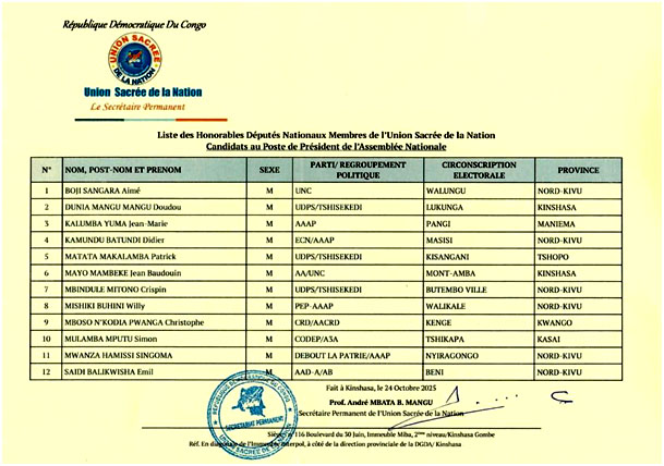 Assemblée nationale : 12 candidats en lice pour le perchoir 13 1105 33