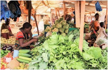 L’Algérie, l’Afrique du Sud et l’Égypte, trois pays africains ayant les systèmes alimentaires les plus résilients en 2026 (Economist Impact) 24 1181 92