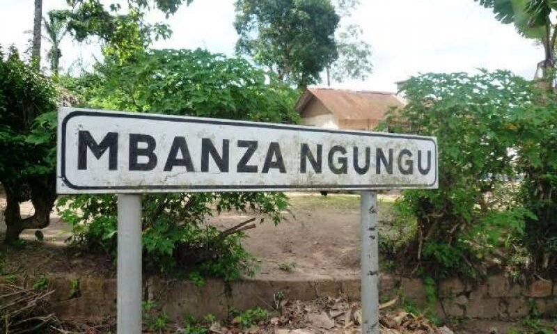 Ngungu